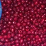 Вишня зам без косточки Узбекистан к/к вес 1/10